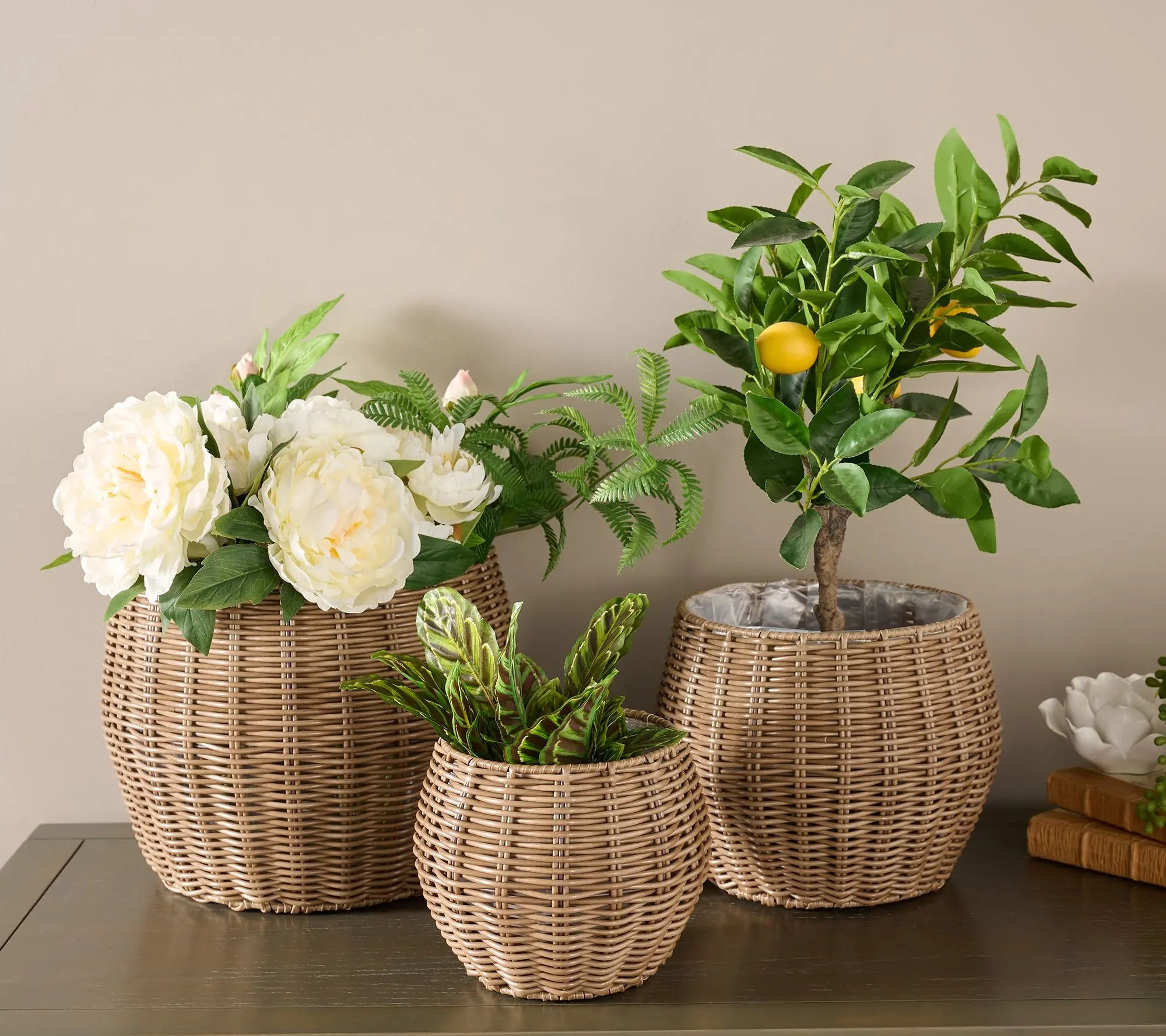 Garden Reflections Set of 3 Rattan Planters
