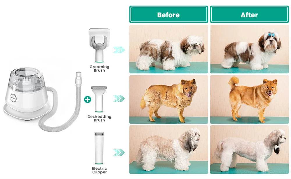 Kit de toilettage pour animaux de compagnie INSE P20 et aspiration sous vide pour le nettoyage des poils