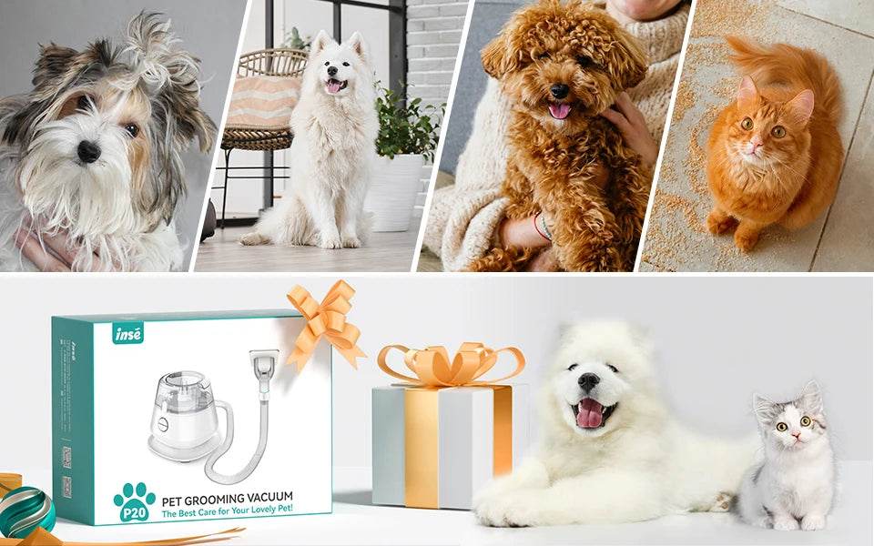 Kit de toilettage pour animaux de compagnie INSE P20 et aspiration sous vide pour le nettoyage des poils