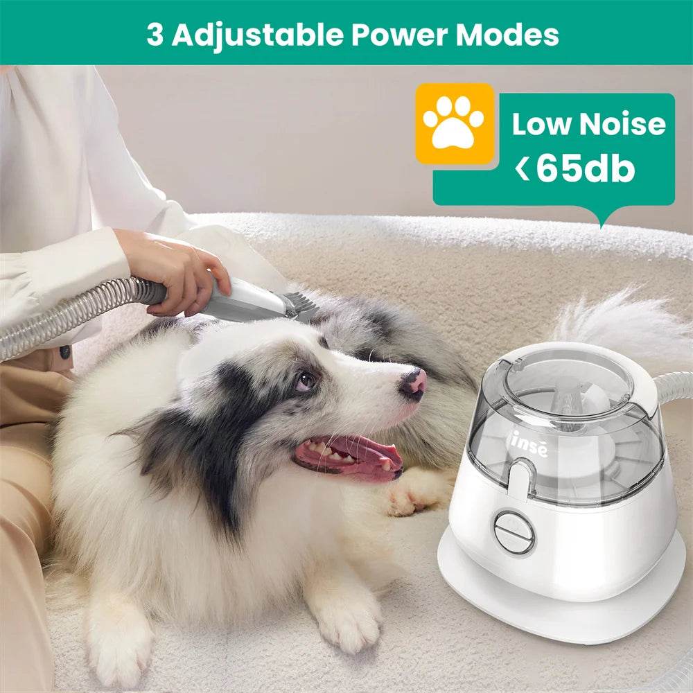 Kit de toilettage pour animaux de compagnie INSE P20 et aspiration sous vide pour le nettoyage des poils