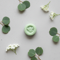 Conditioner Bar – Flat Lay