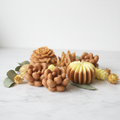 Handmade Botanical Soaps