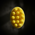 Massage Soap Macro